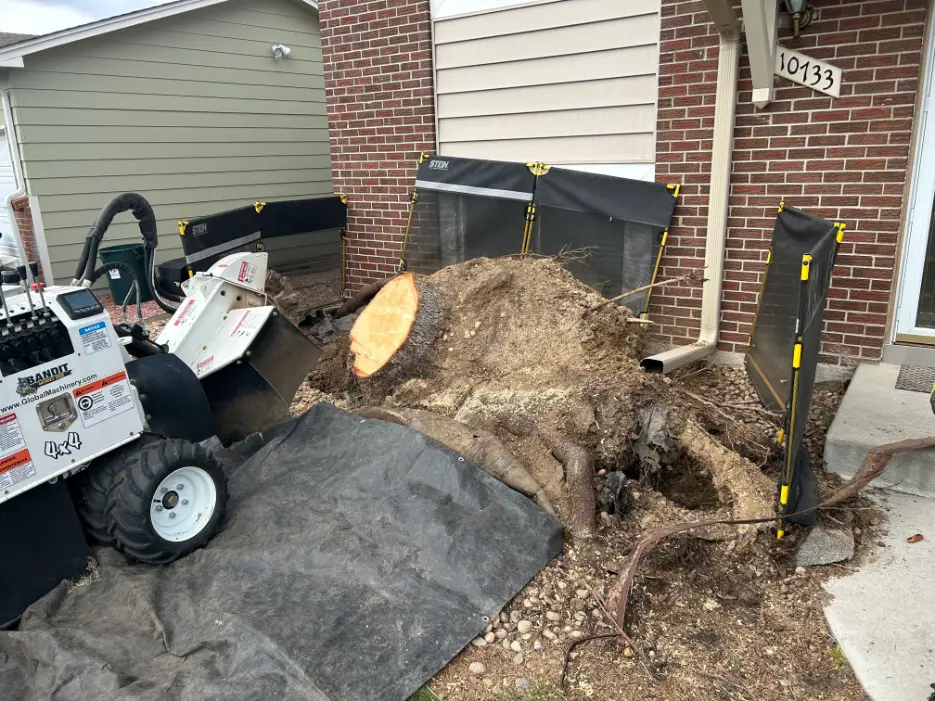 A damaged front yard with exposed tree stump, dirt pile, and debris from a fallen tree. Construction barrier fencing and a small skid steer loader are visible near a brick house.